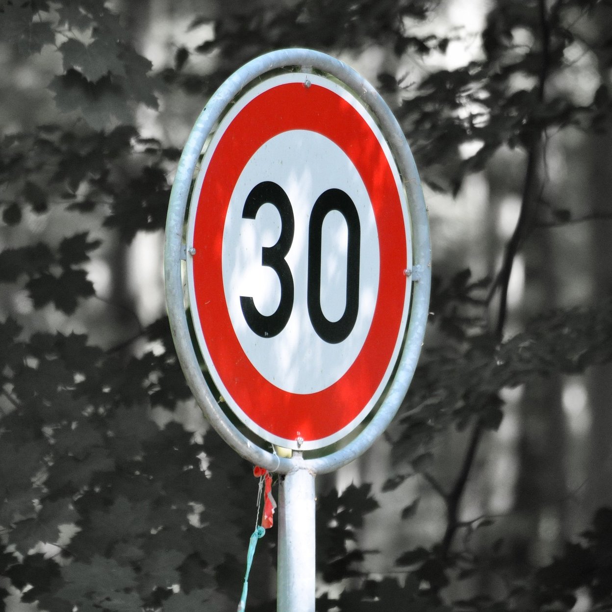 Schild - 30er Zone