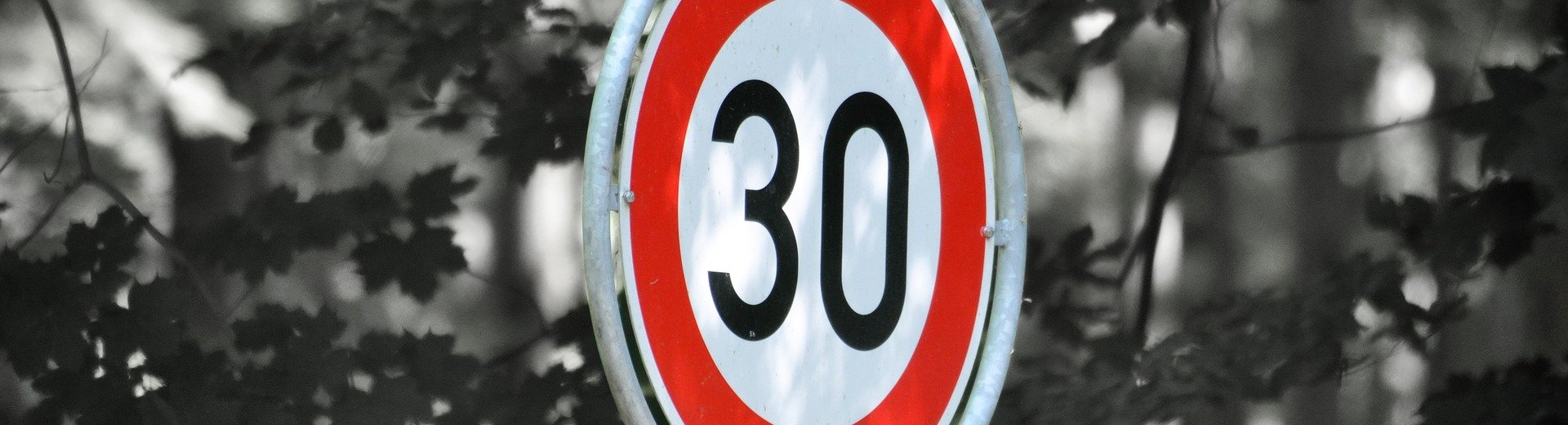 Schild - 30er Zone