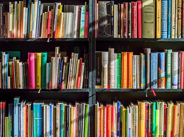 Volles Bücherregal