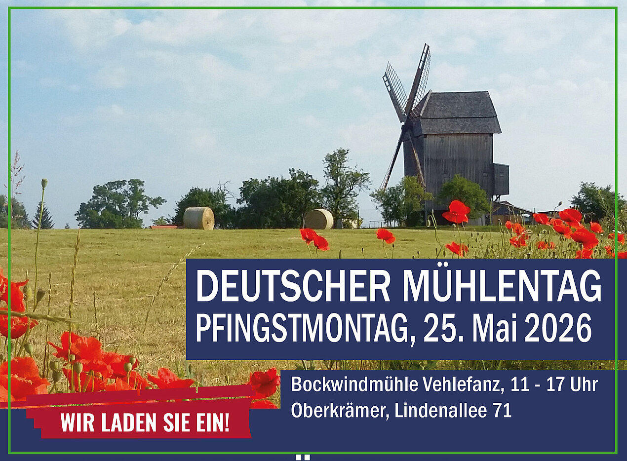 Windmühle, Mohnblumen