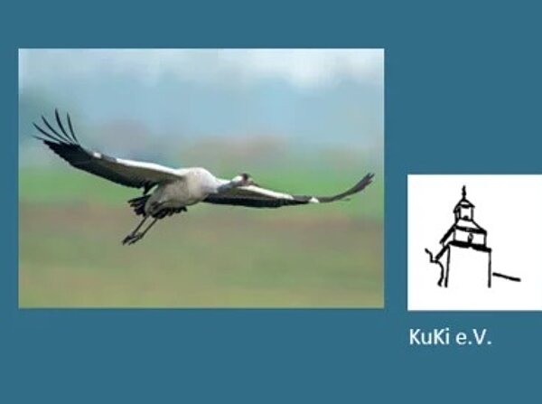 Kranich