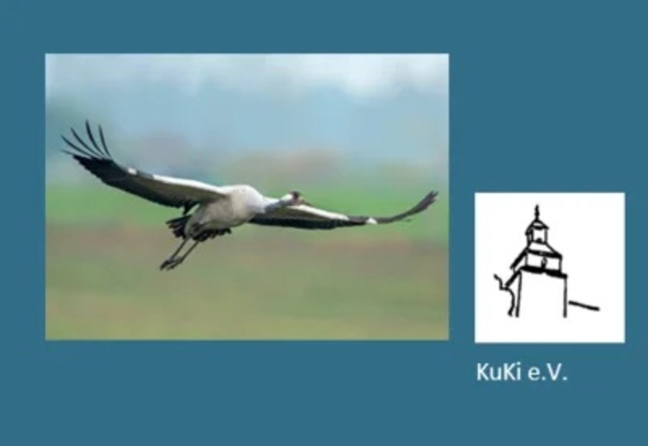 Kranich