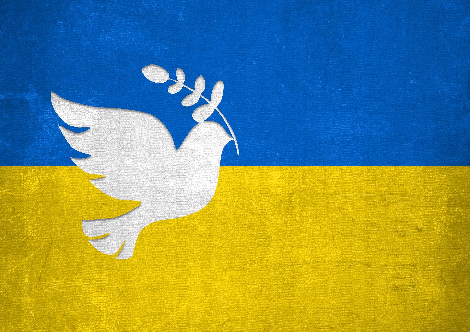 Ukrainische Flagge mit Friedenstaube